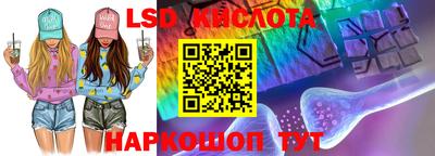 шишки Свободный