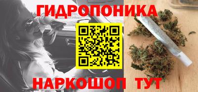 шишки Свободный