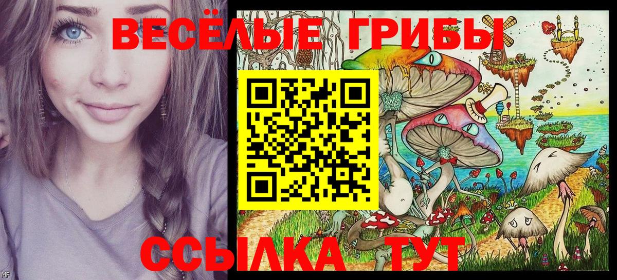 Галлюциногенные грибы мицелий  Вход с VPN  Псилоцибиновые грибы Psilocybe  Псков 